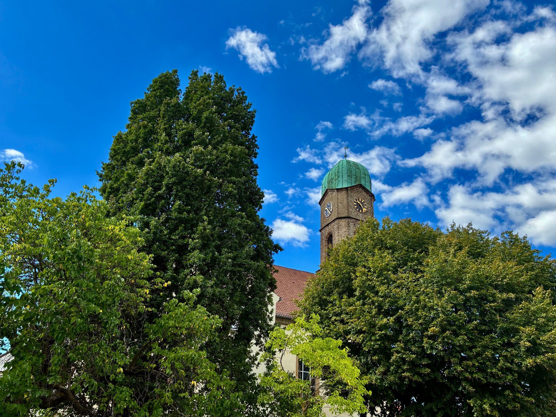 Turm der Burgkirche in Bad Dürkheim zwischen Bäumen